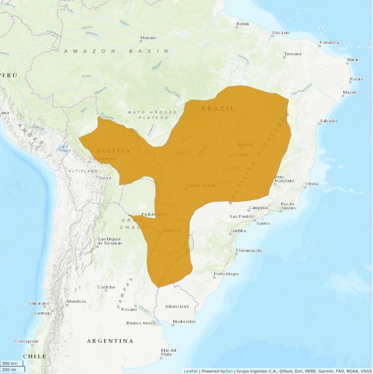 Bugio-preto - Mapa de distribuição