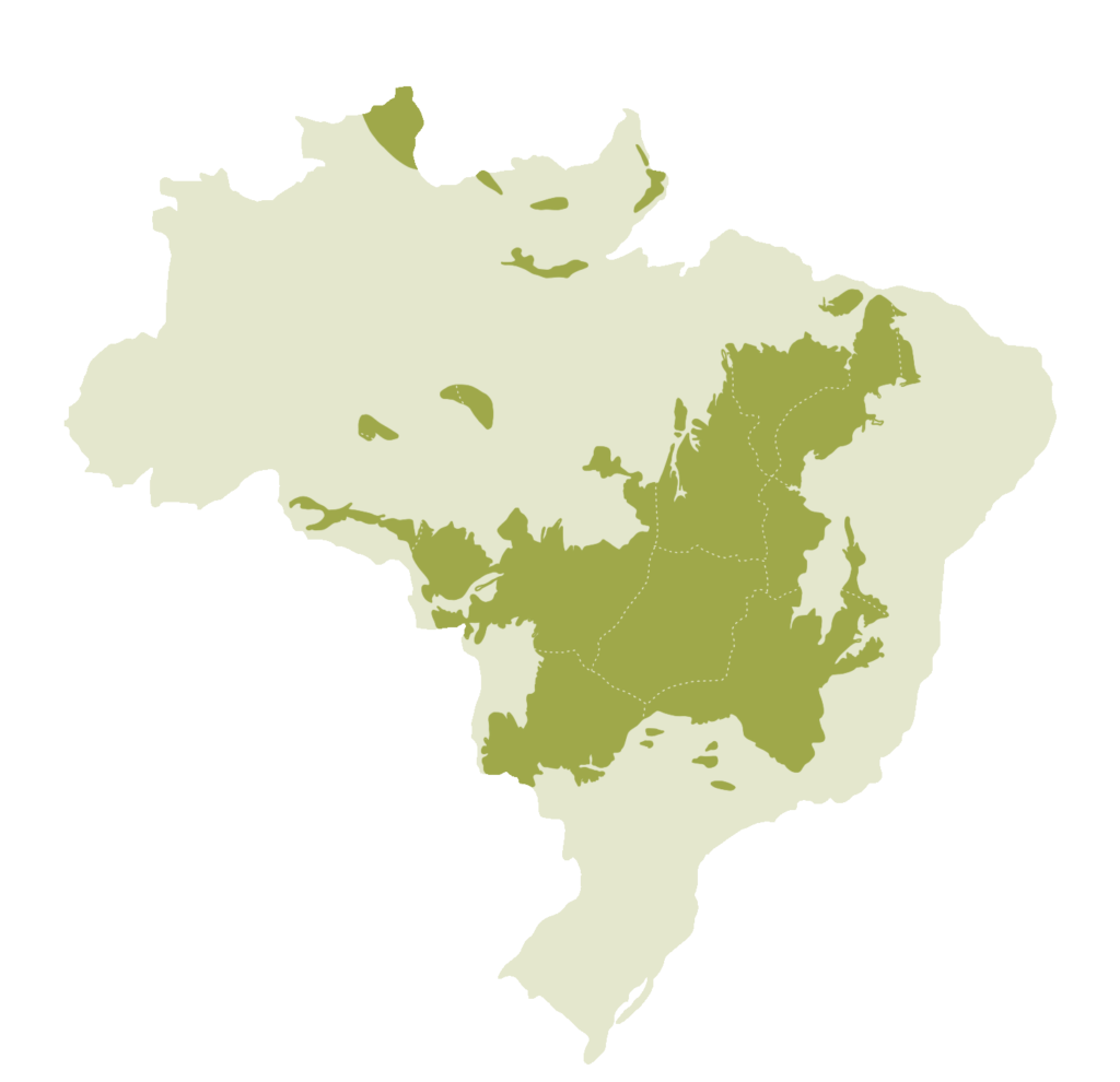 MAPA CERRADO BRASILEIRO