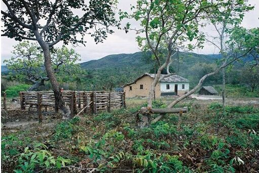 Morada geraizeira: tapera no município de Riacho dos Machados (MG)